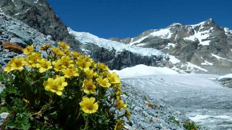 Percorsi Ghiacciaio Fellaria Est