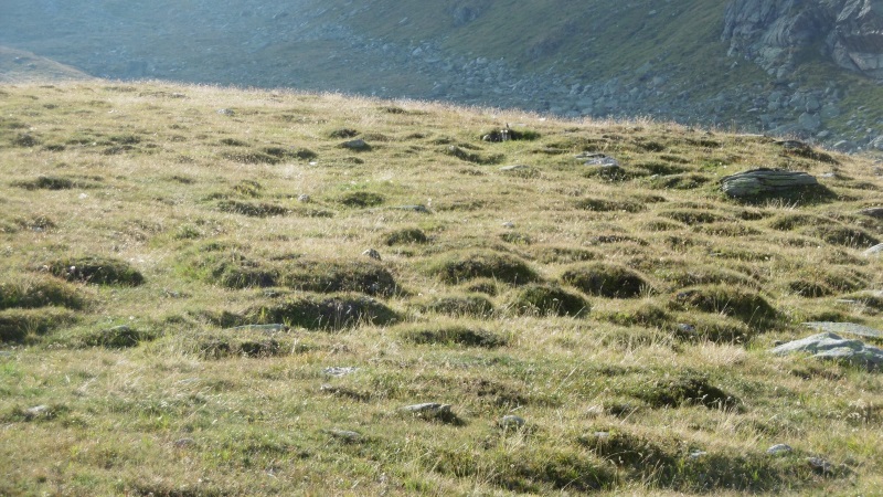 Percorsi Ghiaccio elemento costitutivo del paesaggio